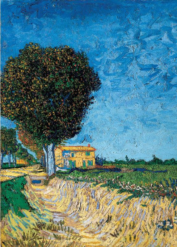 Vincent Van Gogh Avenue bij Arles France oil painting art